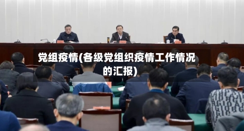 党组疫情(各级党组织疫情工作情况的汇报)-第2张图片