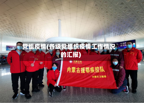 党组疫情(各级党组织疫情工作情况的汇报)