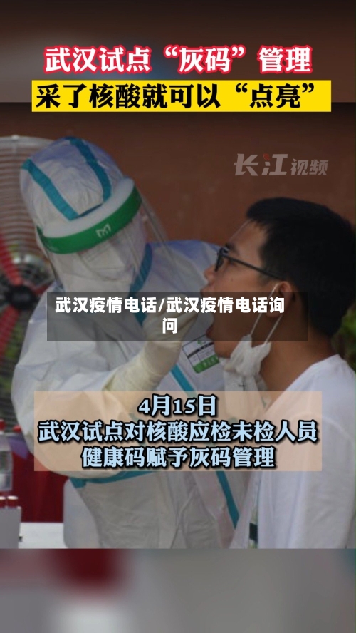 武汉疫情电话/武汉疫情电话询问-第2张图片