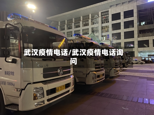 武汉疫情电话/武汉疫情电话询问-第3张图片