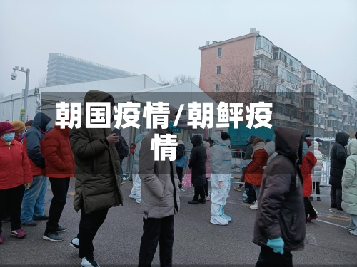 朝国疫情/朝鲆疫情