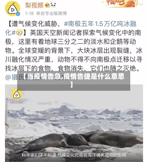 【当疫情告急,疫情告捷是什么意思】