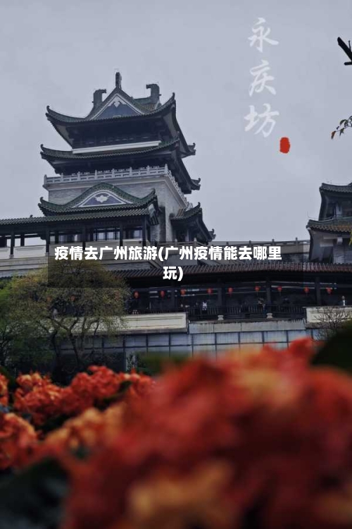 疫情去广州旅游(广州疫情能去哪里玩)