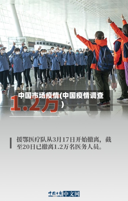 中国市场疫情(中国疫情调查)
