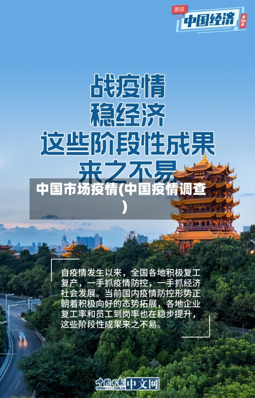 中国市场疫情(中国疫情调查)-第2张图片