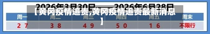【黄冈疫情追责,黄冈疫情追责最新消息】