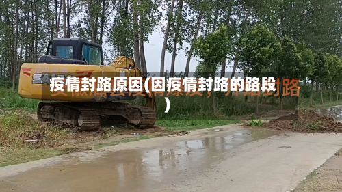 疫情封路原因(因疫情封路的路段)