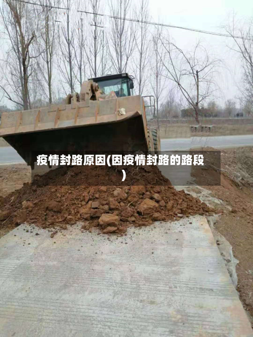 疫情封路原因(因疫情封路的路段)-第2张图片