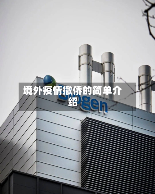 境外疫情撤侨的简单介绍-第3张图片
