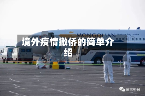 境外疫情撤侨的简单介绍
