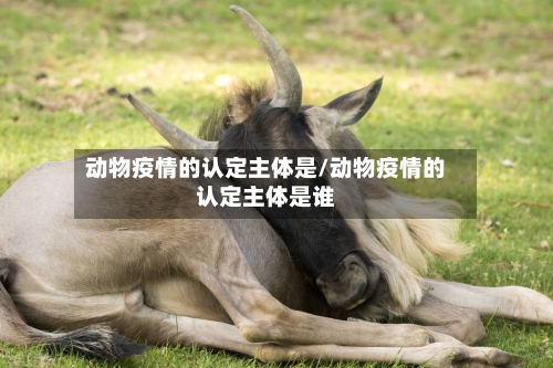 动物疫情的认定主体是/动物疫情的认定主体是谁-第3张图片