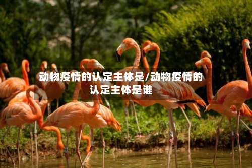 动物疫情的认定主体是/动物疫情的认定主体是谁-第2张图片