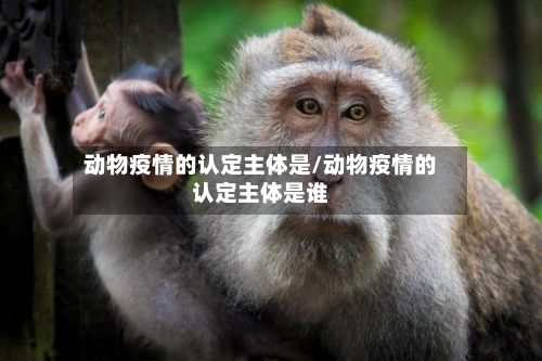 动物疫情的认定主体是/动物疫情的认定主体是谁