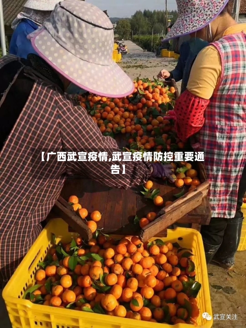 【广西武宣疫情,武宣疫情防控重要通告】-第2张图片