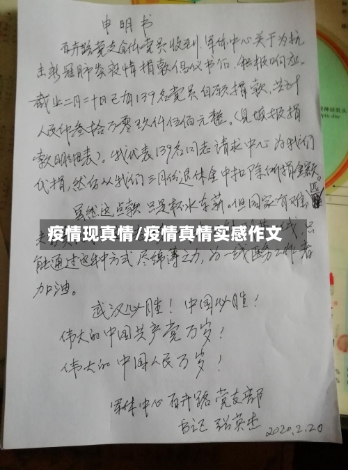 疫情现真情/疫情真情实感作文-第2张图片