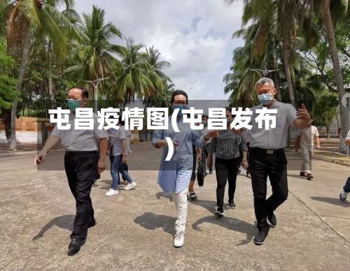 屯昌疫情图(屯昌发布)-第3张图片