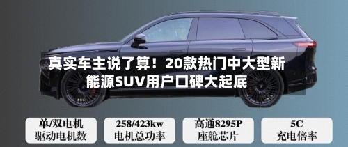 真实车主说了算!20款热门中大型新能源SUV用户口碑大起底-第3张图片
