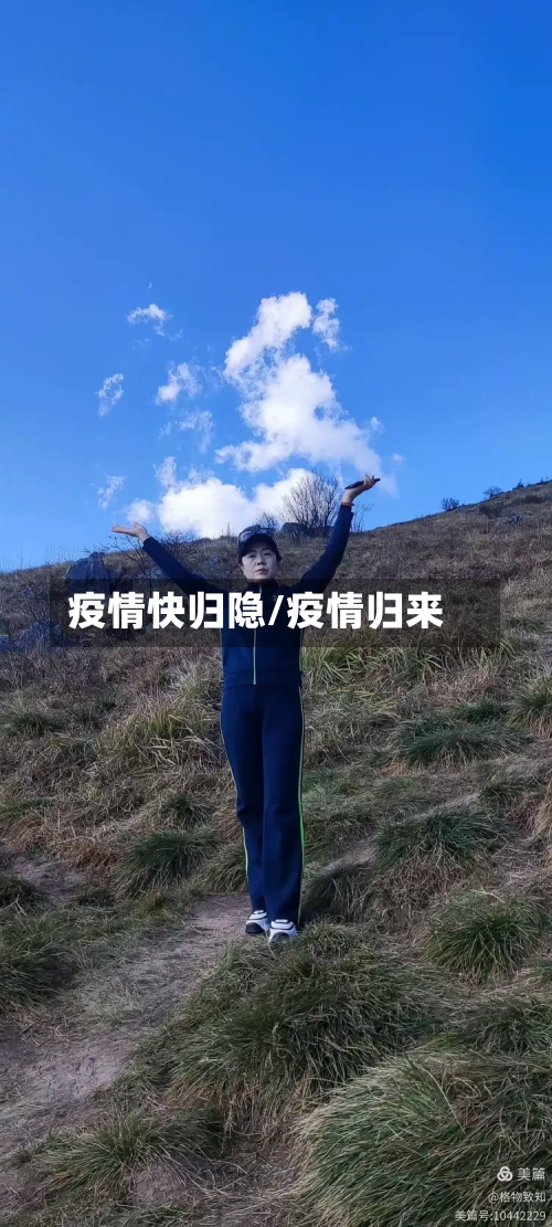 疫情快归隐/疫情归来-第2张图片