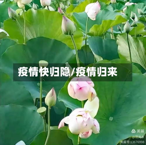疫情快归隐/疫情归来