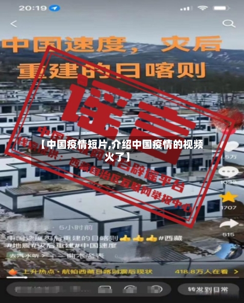 【中国疫情短片,介绍中国疫情的视频火了】-第3张图片