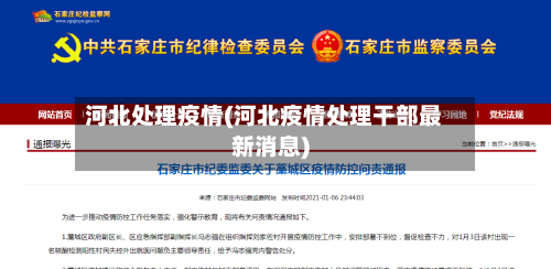 河北处理疫情(河北疫情处理干部最新消息)