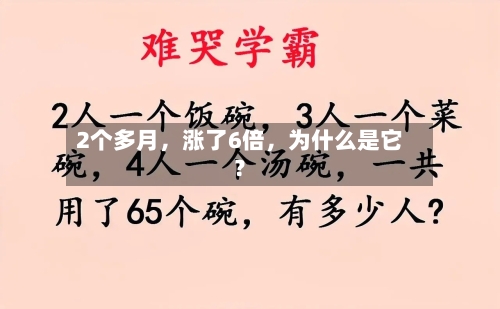 2个多月	，涨了6倍，为什么是它？-第2张图片
