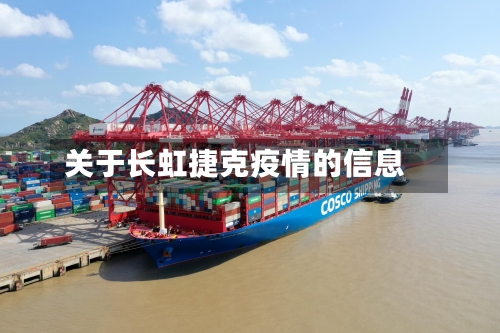 关于长虹捷克疫情的信息