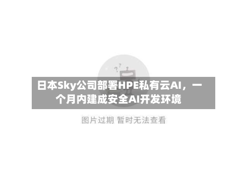 日本Sky公司部署HPE私有云AI，一个月内建成安全AI开发环境-第3张图片