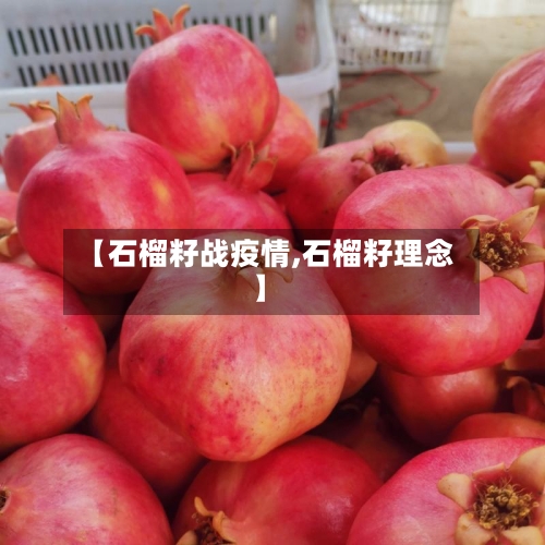 【石榴籽战疫情,石榴籽理念】