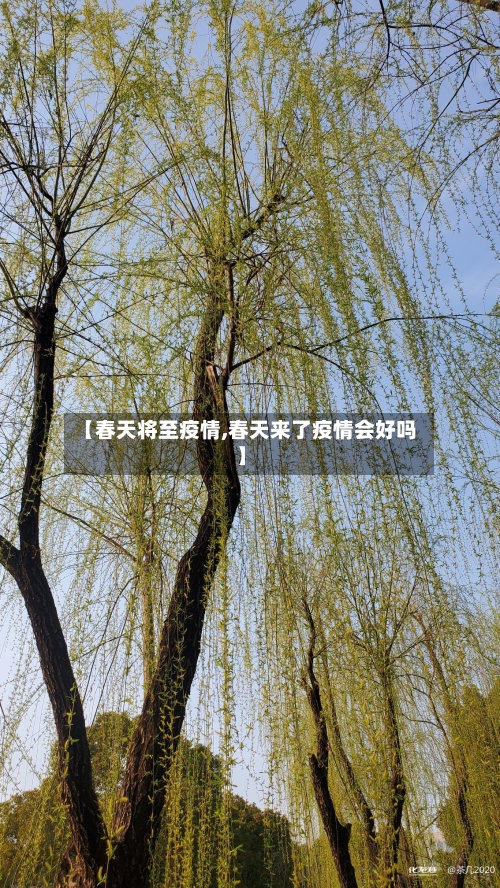 【春天将至疫情,春天来了疫情会好吗】-第2张图片