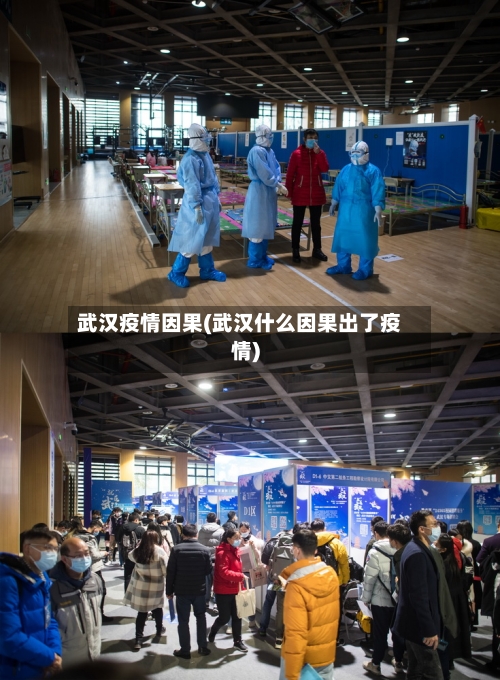 武汉疫情因果(武汉什么因果出了疫情)-第2张图片