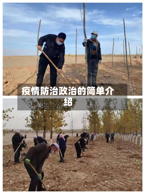 疫情防治政治的简单介绍