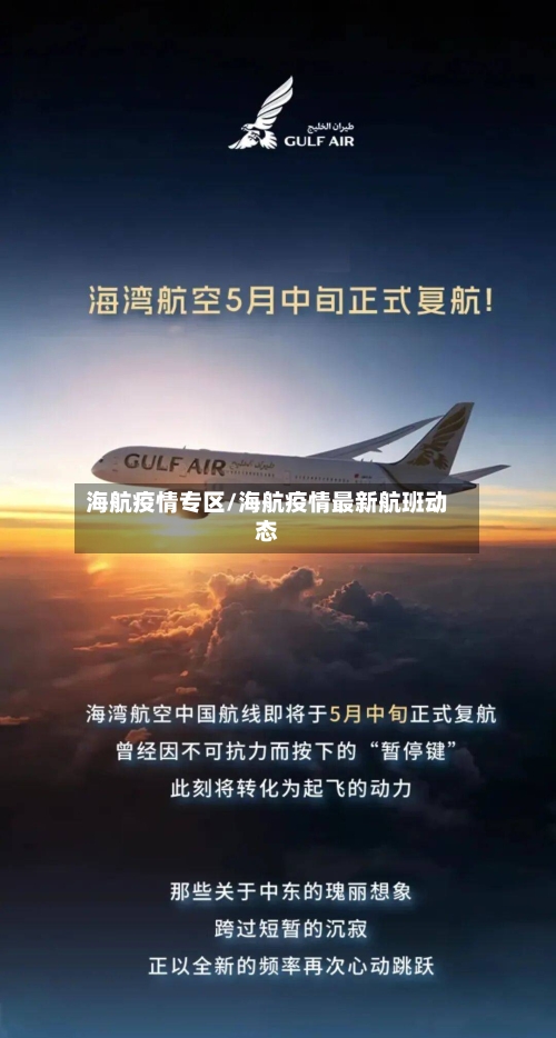 海航疫情专区/海航疫情最新航班动态