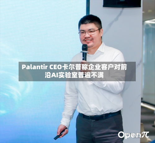 Palantir CEO卡尔普称企业客户对前沿AI实验室普遍不满