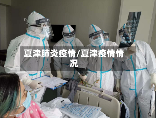 夏津肺炎疫情/夏津疫情情况-第2张图片