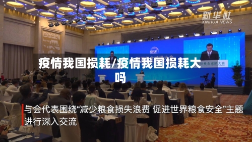疫情我国损耗/疫情我国损耗大吗