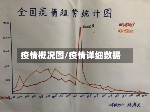 疫情概况图/疫情详细数据