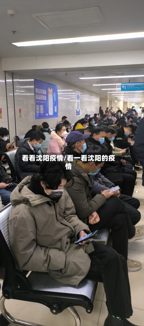 看看沈阳疫情/看一看沈阳的疫情