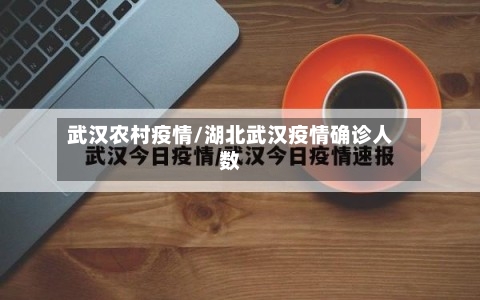 武汉农村疫情/湖北武汉疫情确诊人数