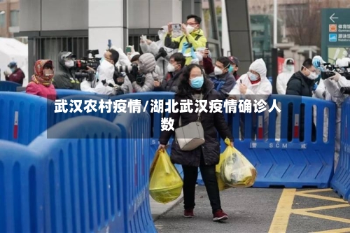 武汉农村疫情/湖北武汉疫情确诊人数-第2张图片