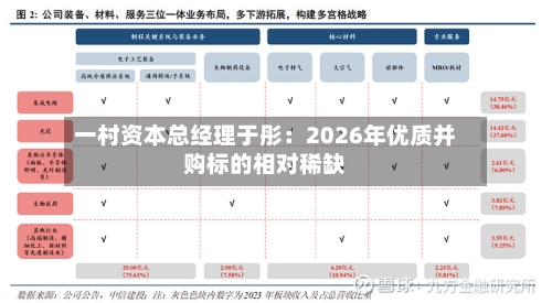 一村资本总经理于彤:2026年优质并购标的相对稀缺-第2张图片