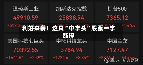 利好来袭！这只“中字头”股票一字涨停-第2张图片