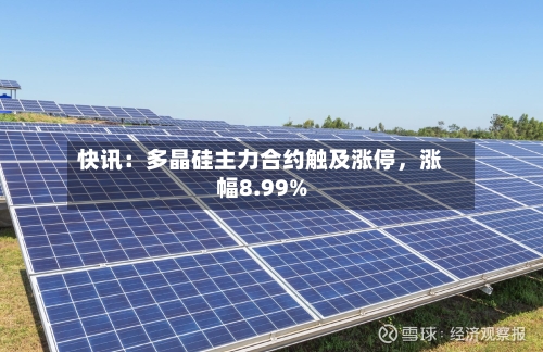 快讯：多晶硅主力合约触及涨停，涨幅8.99%