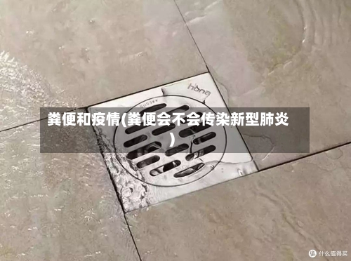 粪便和疫情(粪便会不会传染新型肺炎)-第2张图片