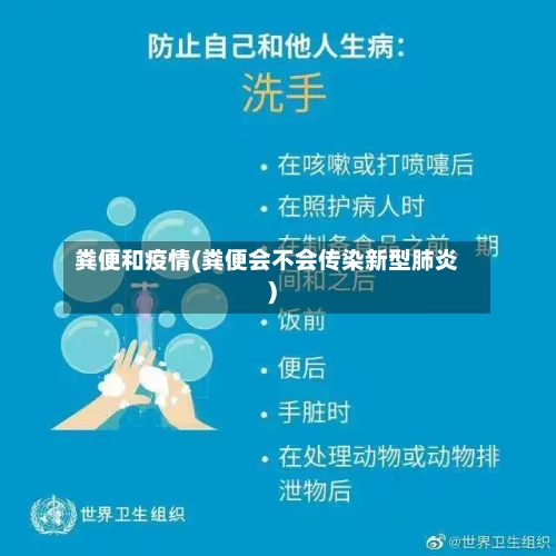粪便和疫情(粪便会不会传染新型肺炎)-第3张图片