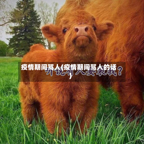 疫情期间骂人(疫情期间骂人的话)-第2张图片