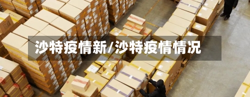 沙特疫情新/沙特疫情情况