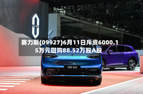 赛力斯(09927)6月11日斥资6000.15万元回购88.52万股A股