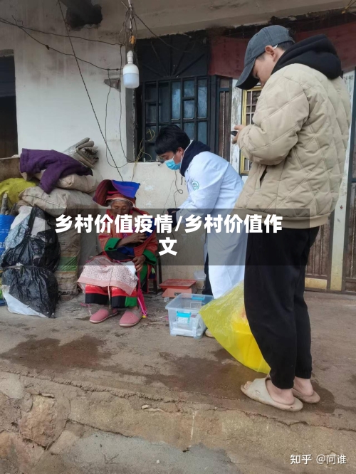 乡村价值疫情/乡村价值作文