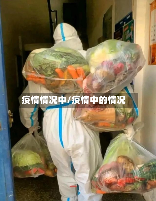 疫情情况中/疫情中的情况